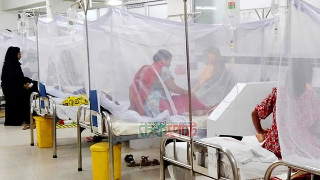 ডেঙ্গুতে ২৪ ঘণ্টায় ৬ মৃত্যু, হাসপাতালে ১,৬০৮
