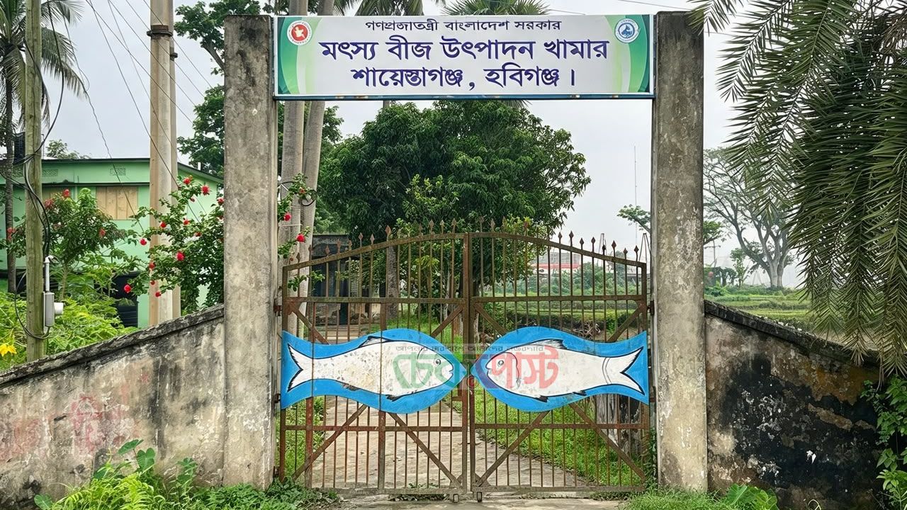 শিল্পায়ন ও ছয় লেনের সড়কের ঝুঁকিতে শায়েস্তাগঞ্জ মৎস্য খামার
