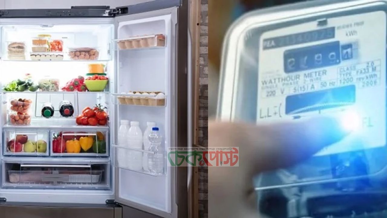 ফ্রিজ ২৪ ঘণ্টা চালালে মাসে কত টাকার বিদ্যুৎ বিল আসে?