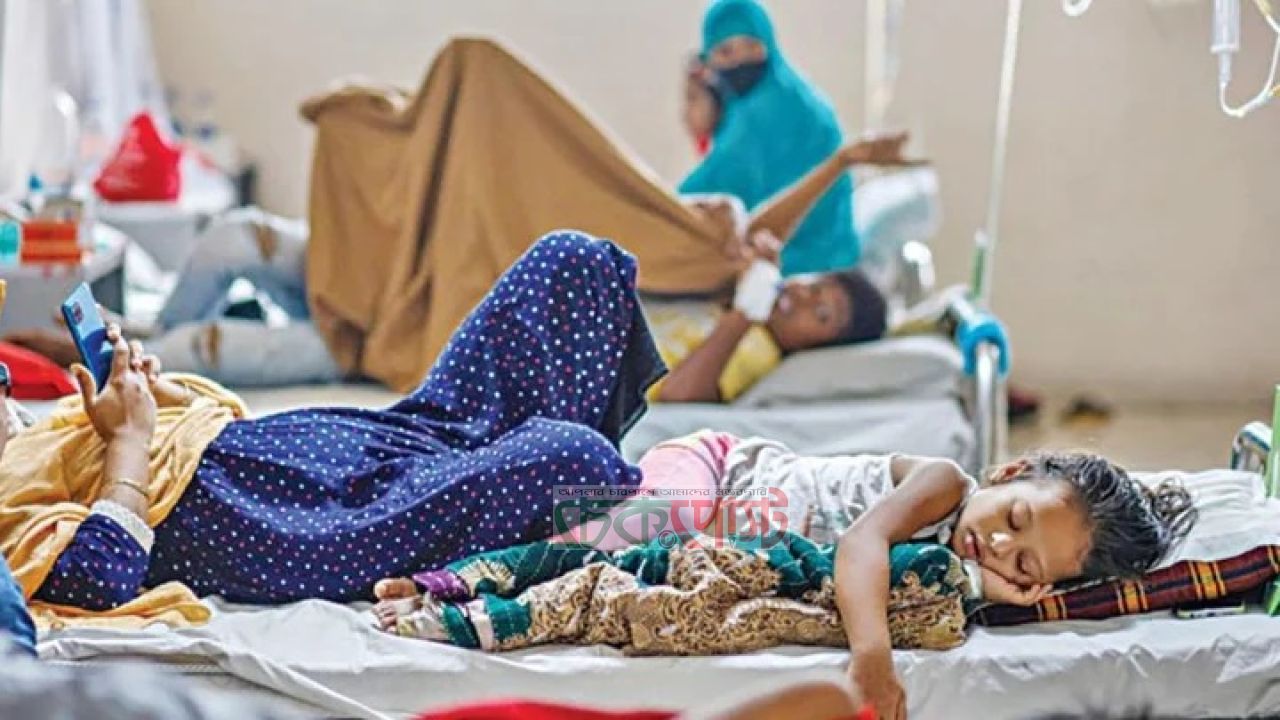 ডেঙ্গুতে আরও ৪ মৃত্যু, ২৪ ঘণ্টায় হাসপাতালে ১,৫১২ রোগী