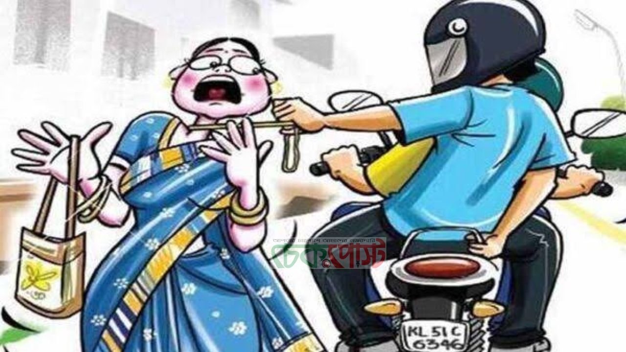 সৈয়দপুরে চলন্ত ইজিবাইক থেকে নারীর মোবাইল ছিনতাইয়ের অভিযোগ