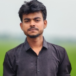 মেহেদী হাসান রাকিব 